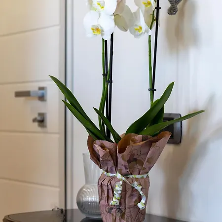 Апартаменты Santa Gilla